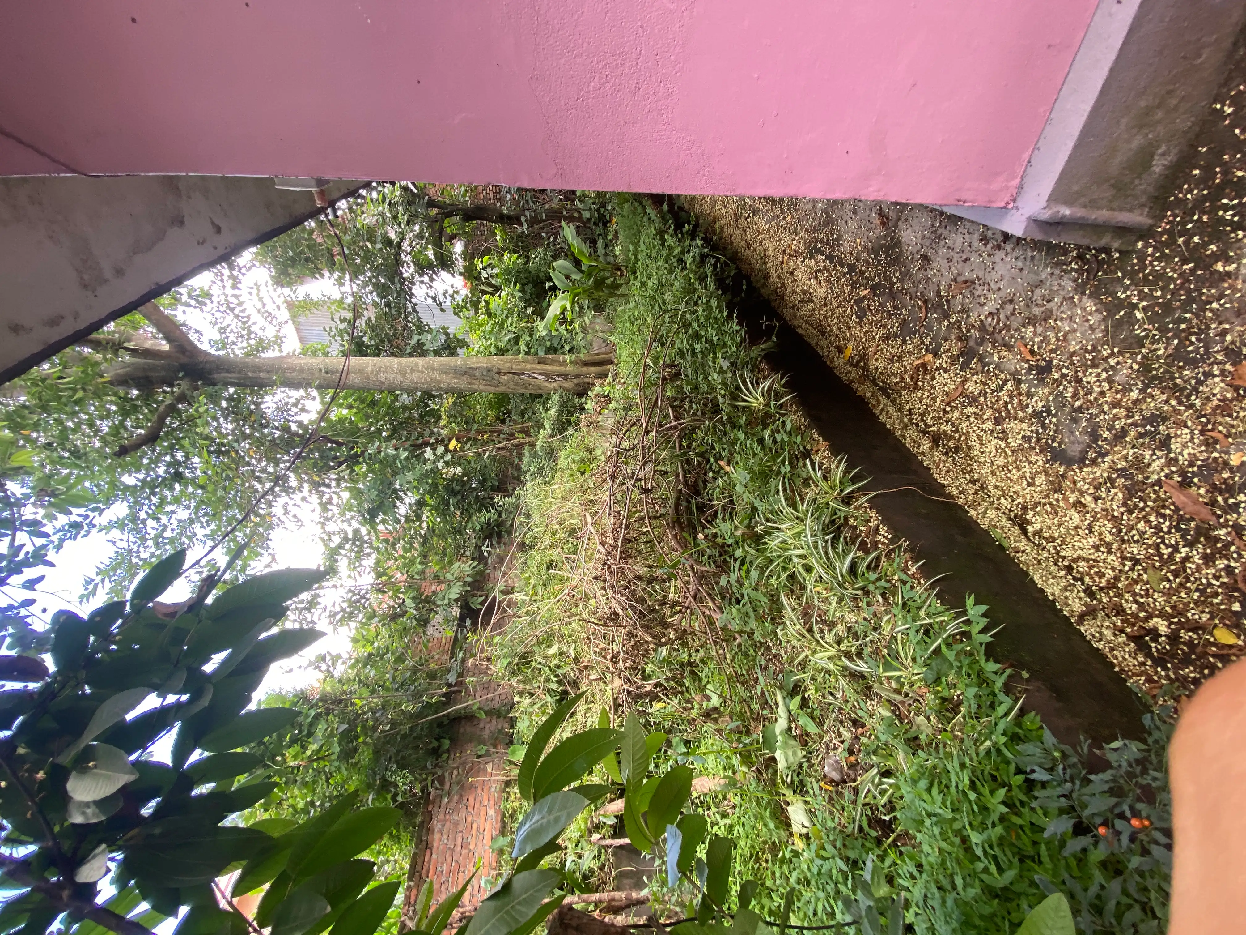 11 Aana Land for SALE with house free at Bagdol, Inaar chowk Image 7