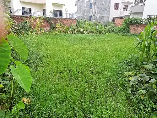 6 AANA LAND ON SALE AT DHAPAKHEL, LALITPUR Image 1