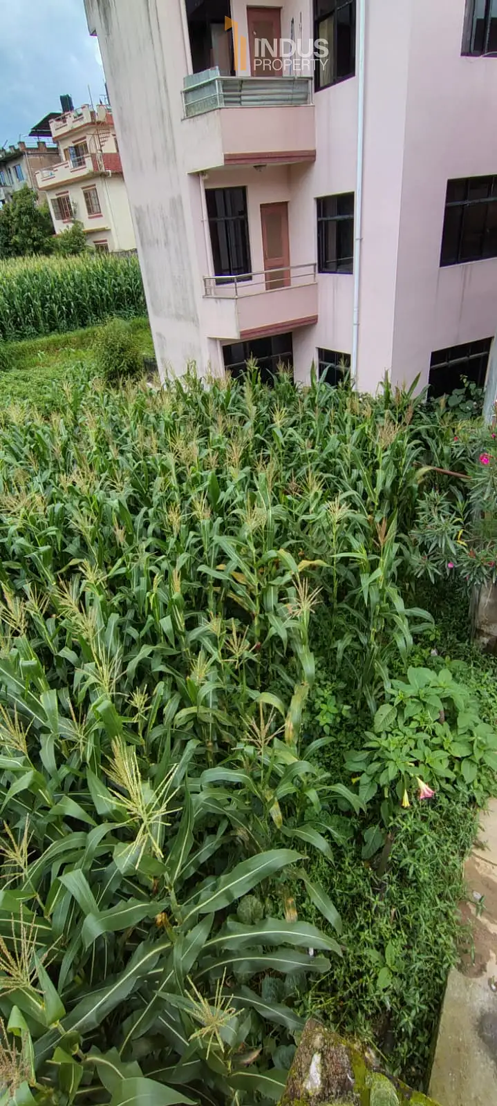 Land on sale at Dhapakhel, Lalitpur Image 4