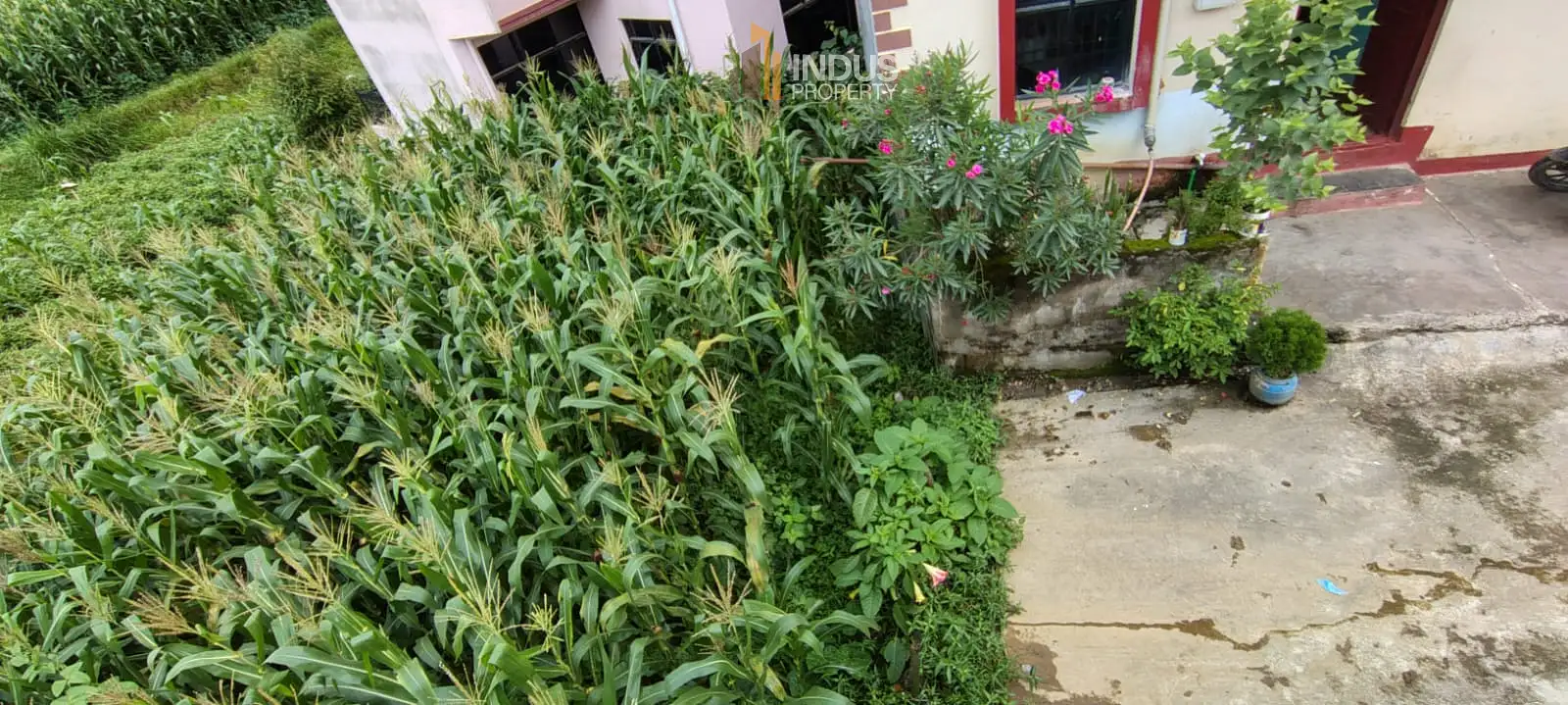 Land on sale at Dhapakhel, Lalitpur Image 2