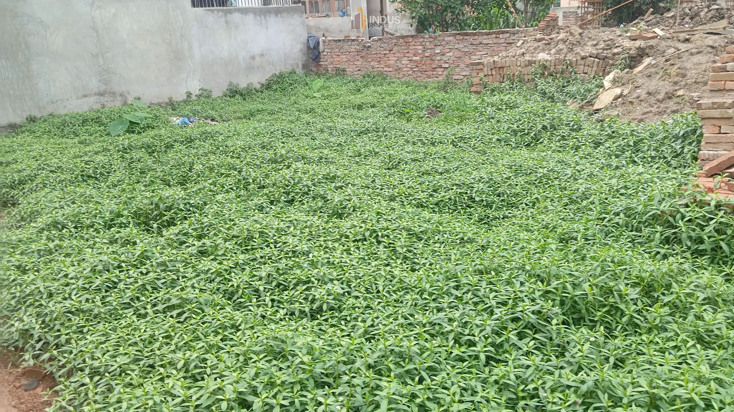 Land on sale at Tikathali, Imadol Image 1