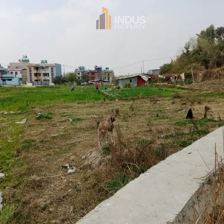 Land on Sale Image 3