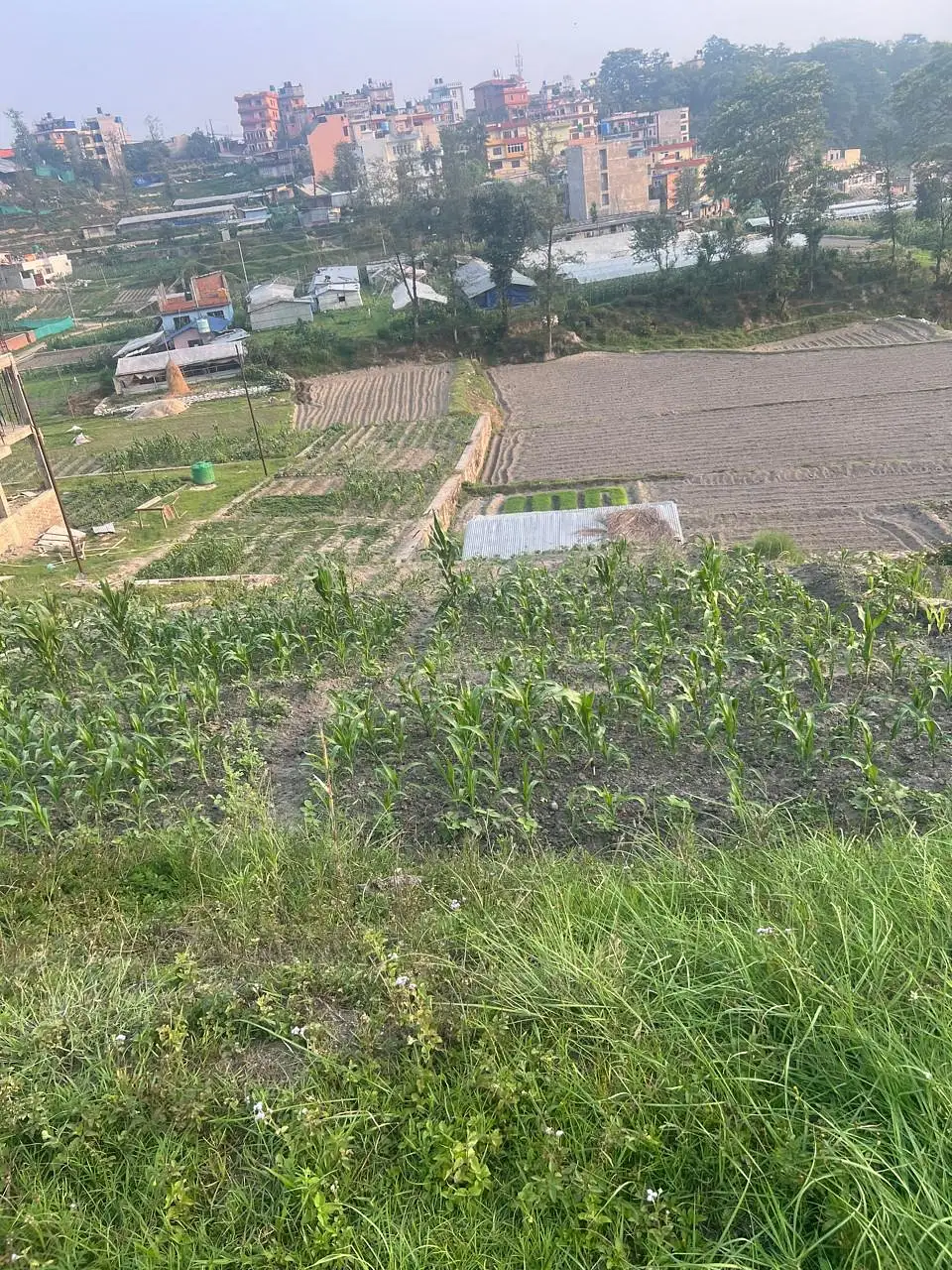 Land on Sale Image 1