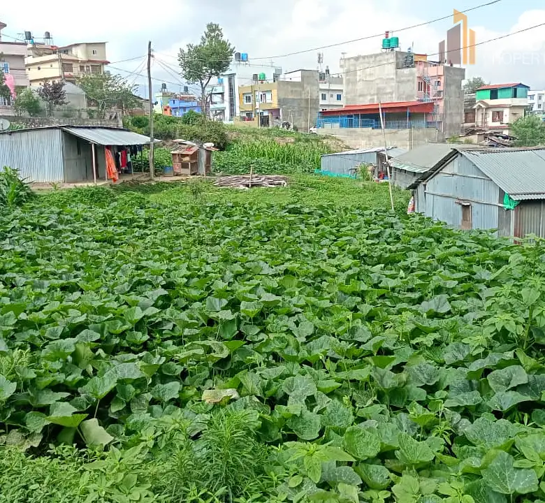 land on sale Image 3
