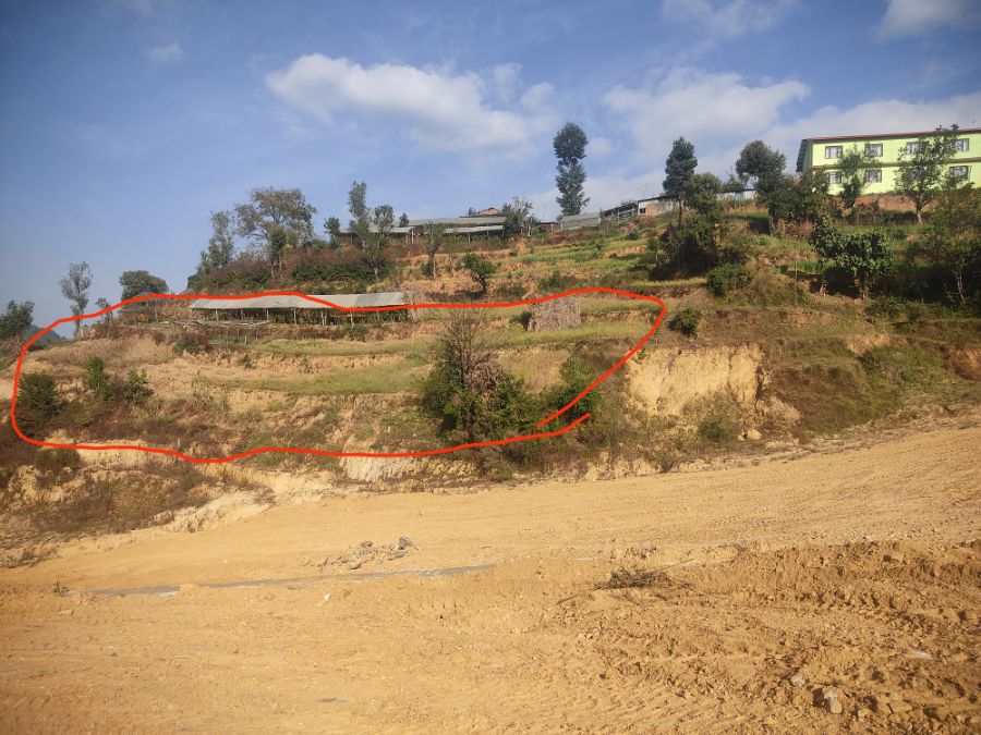 5 ropani land on urgent sale  Image 3