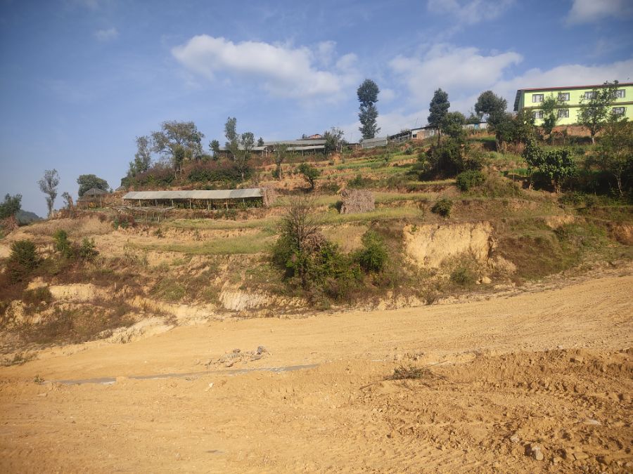 5 ropani land on urgent sale  Image 4
