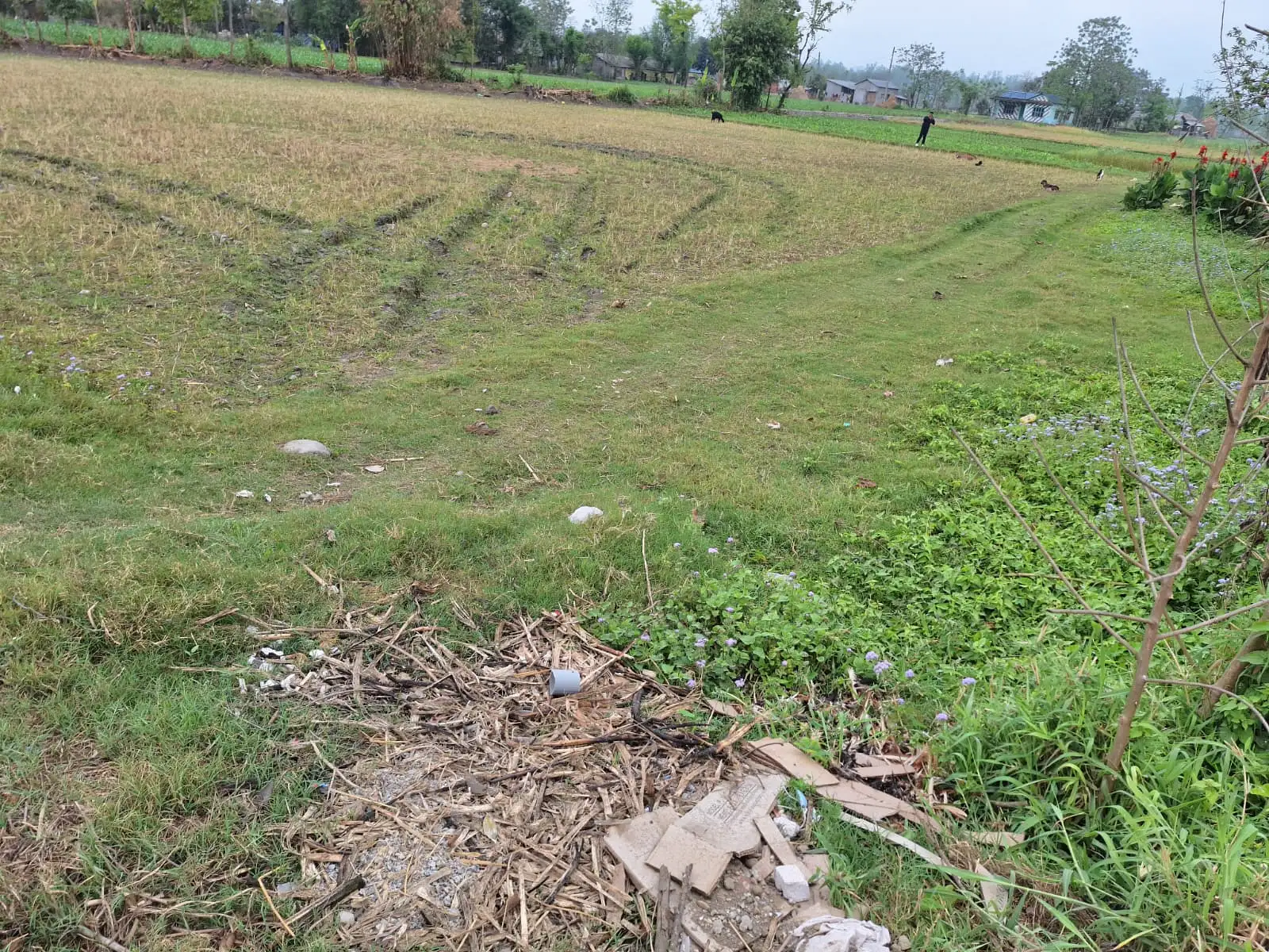Residential/Commercial Land on Sell Image 1