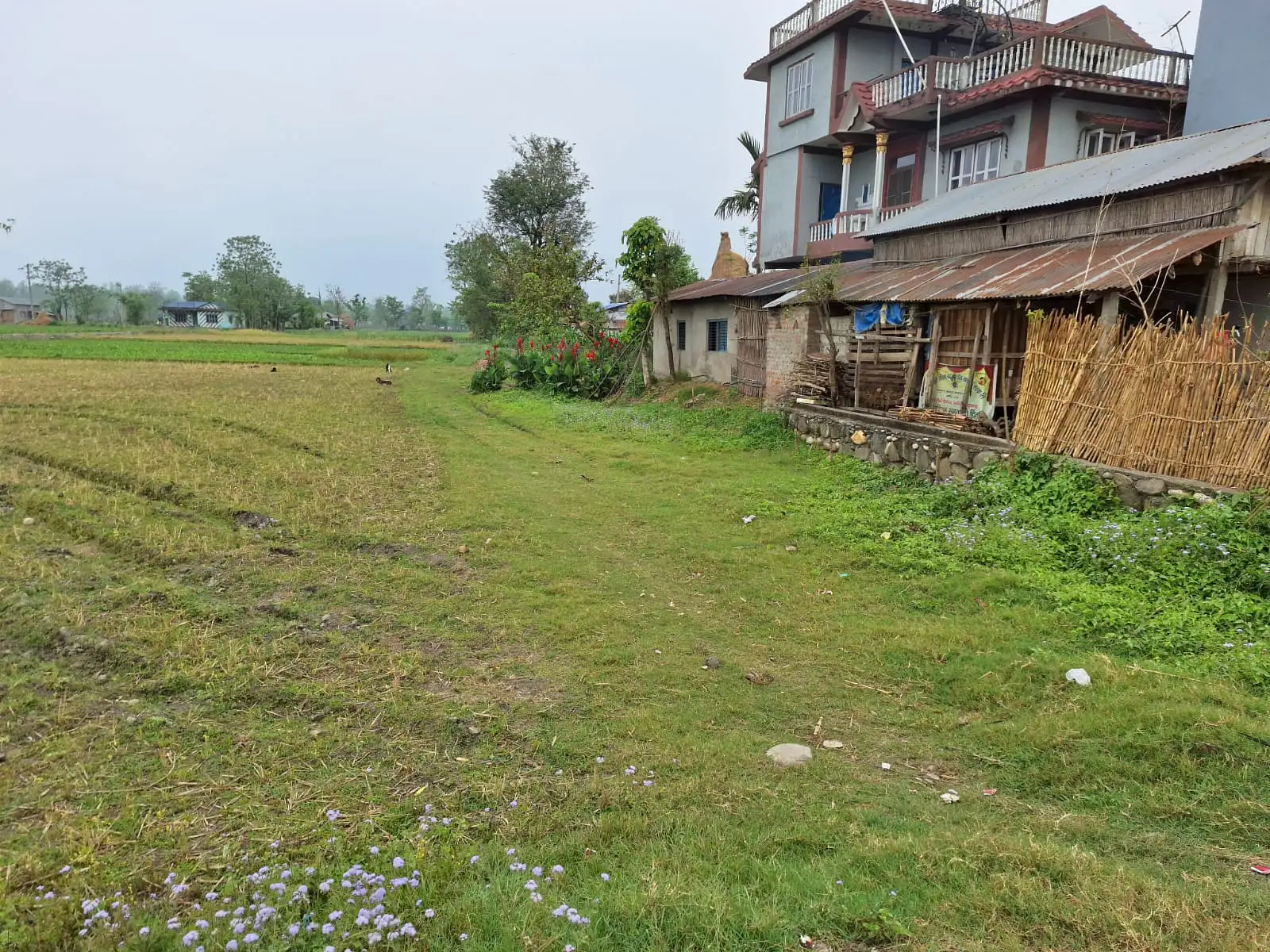 Residential/Commercial Land on Sell Image 2