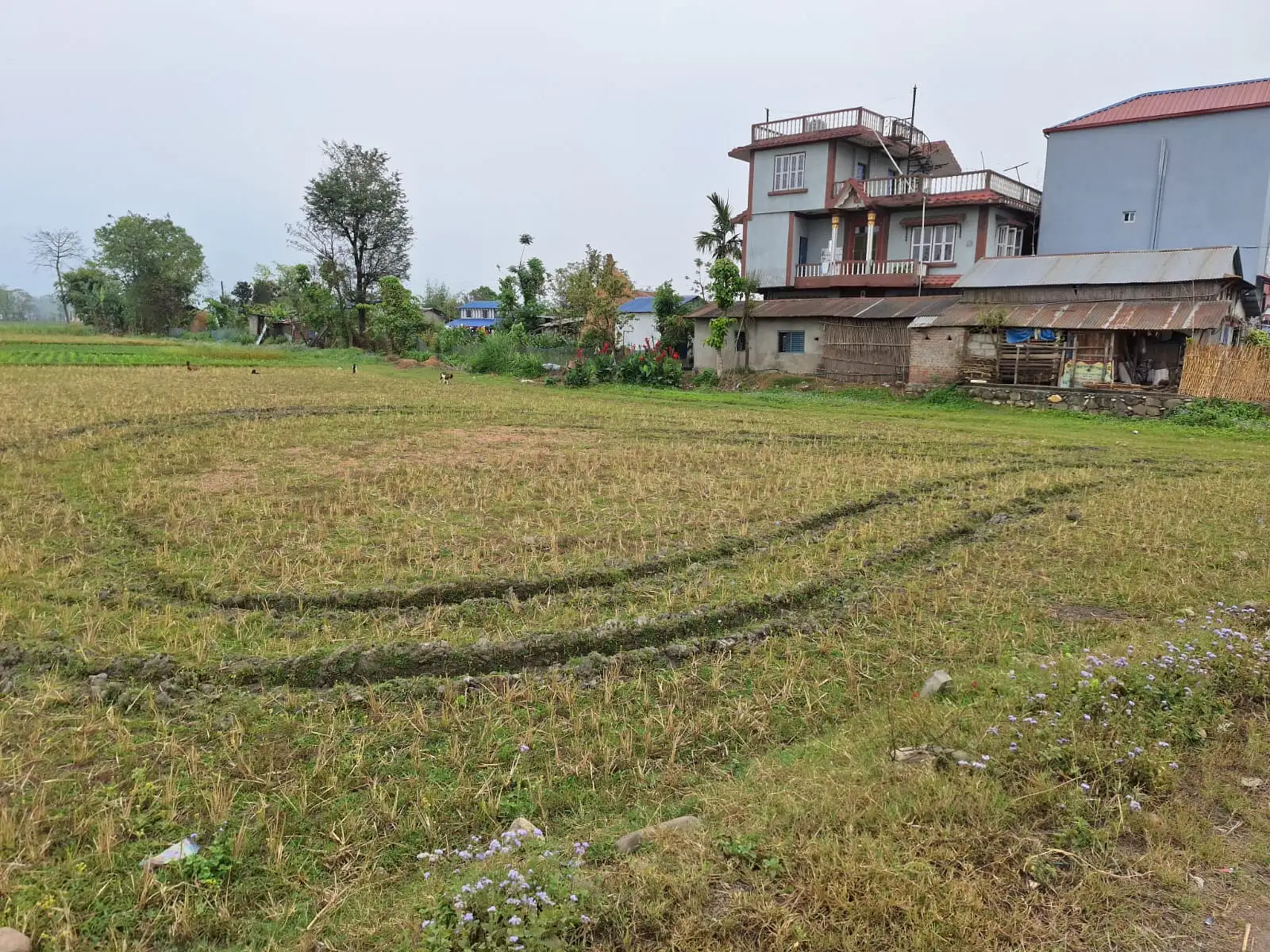 Residential/Commercial Land on Sell Image 4