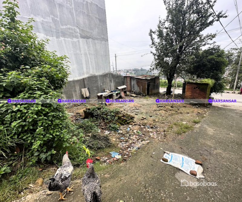 Prime Commercial Land for Sale in Sitapaila, Padma Colony | 0.3.3.0 Anna Land : Land for Sale in Sitapaila, Kathmandu Image 4