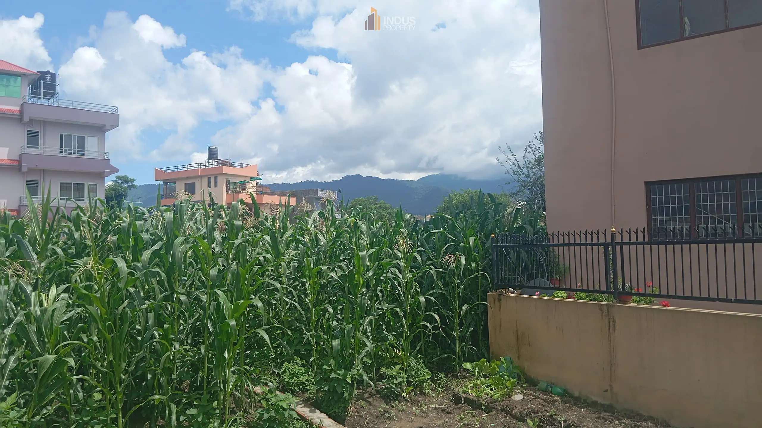 Land on sale at Balkot, Bhaktapur Image 3