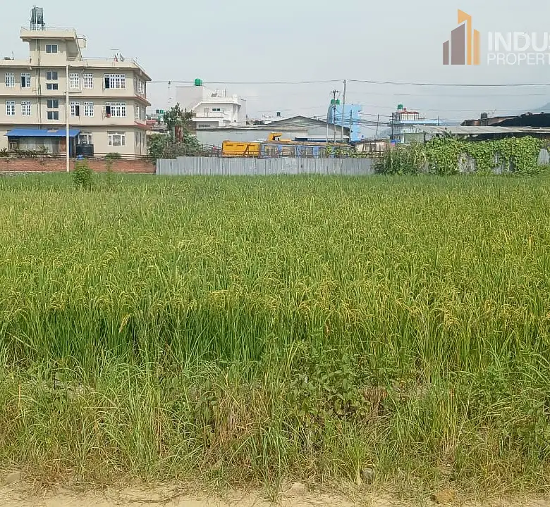 Land on Sale Image 1