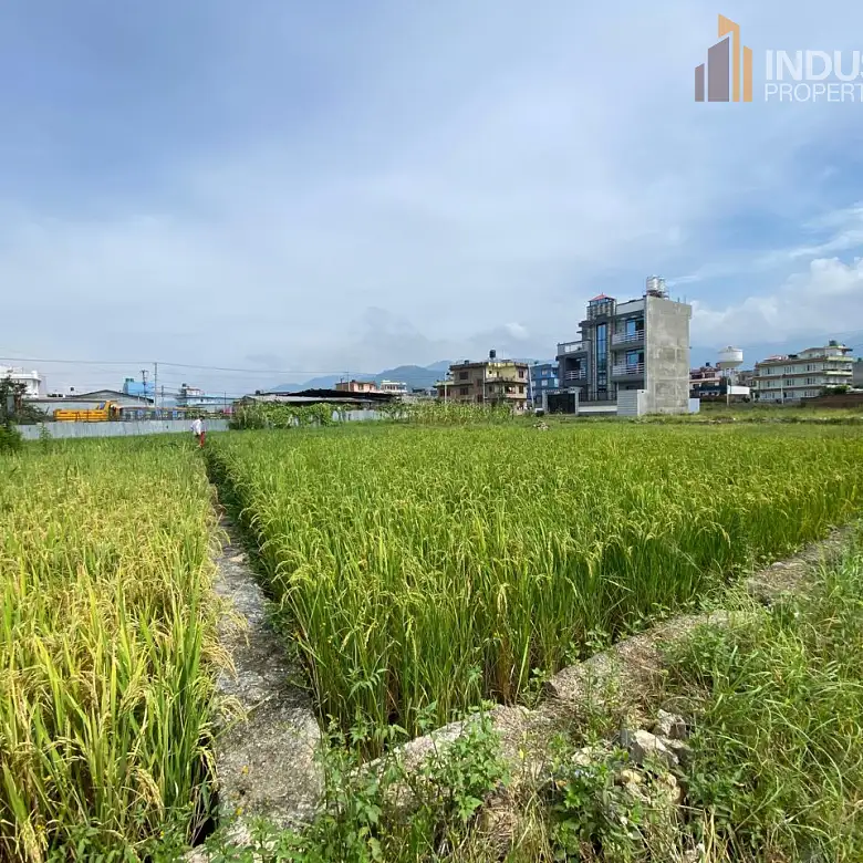 Land on Sale Image 2