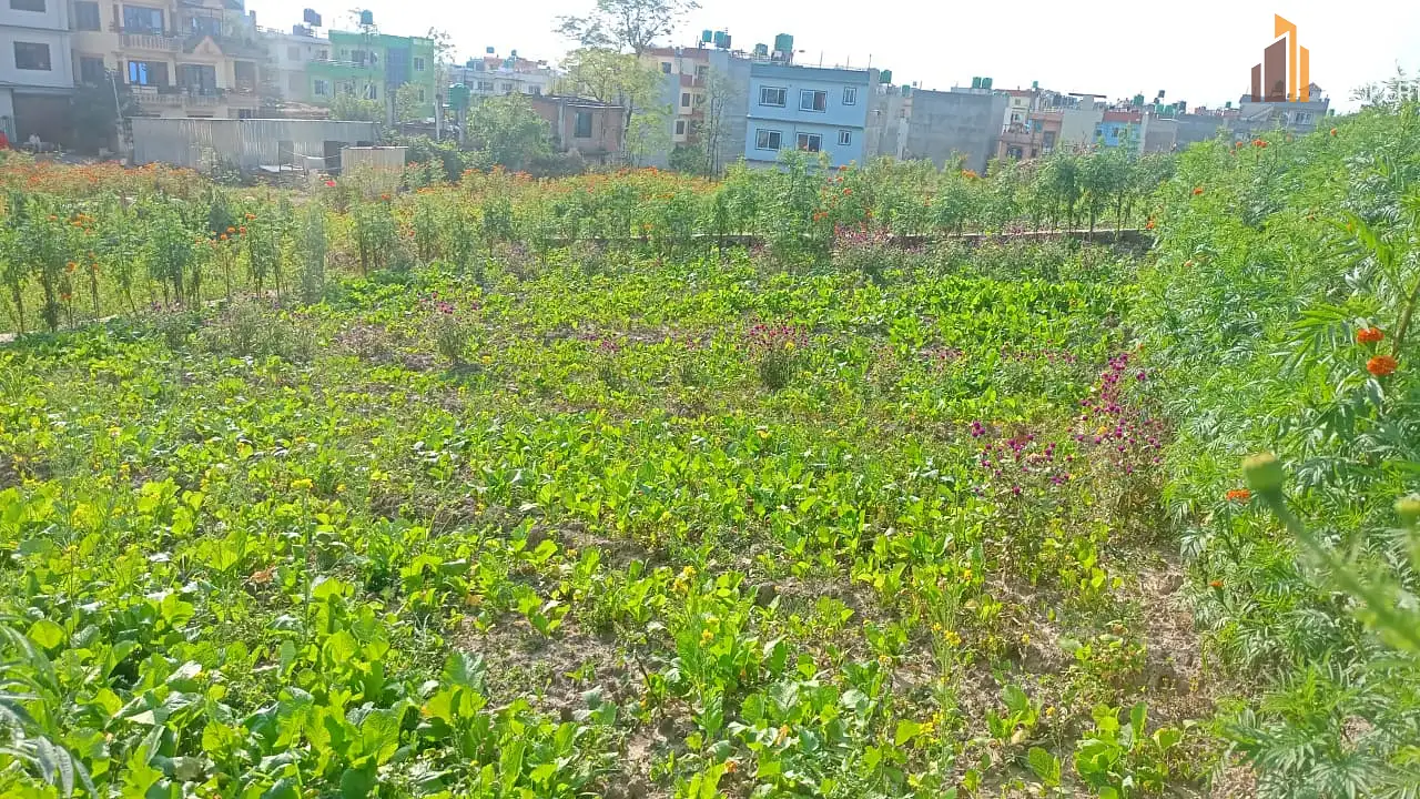 Land on Sale Image 2