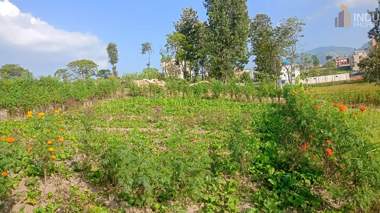 Land on Sale Image 3