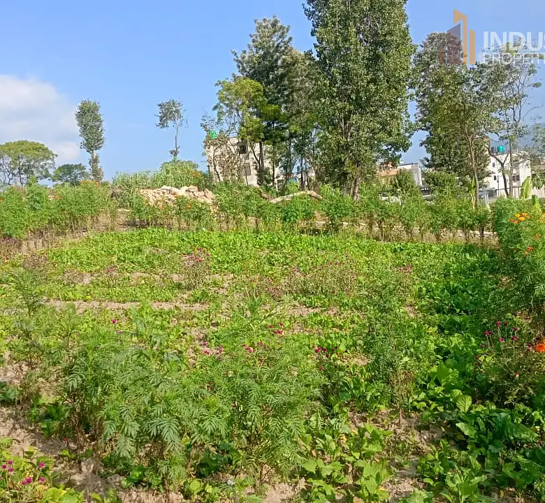 Land on Sale Image 4