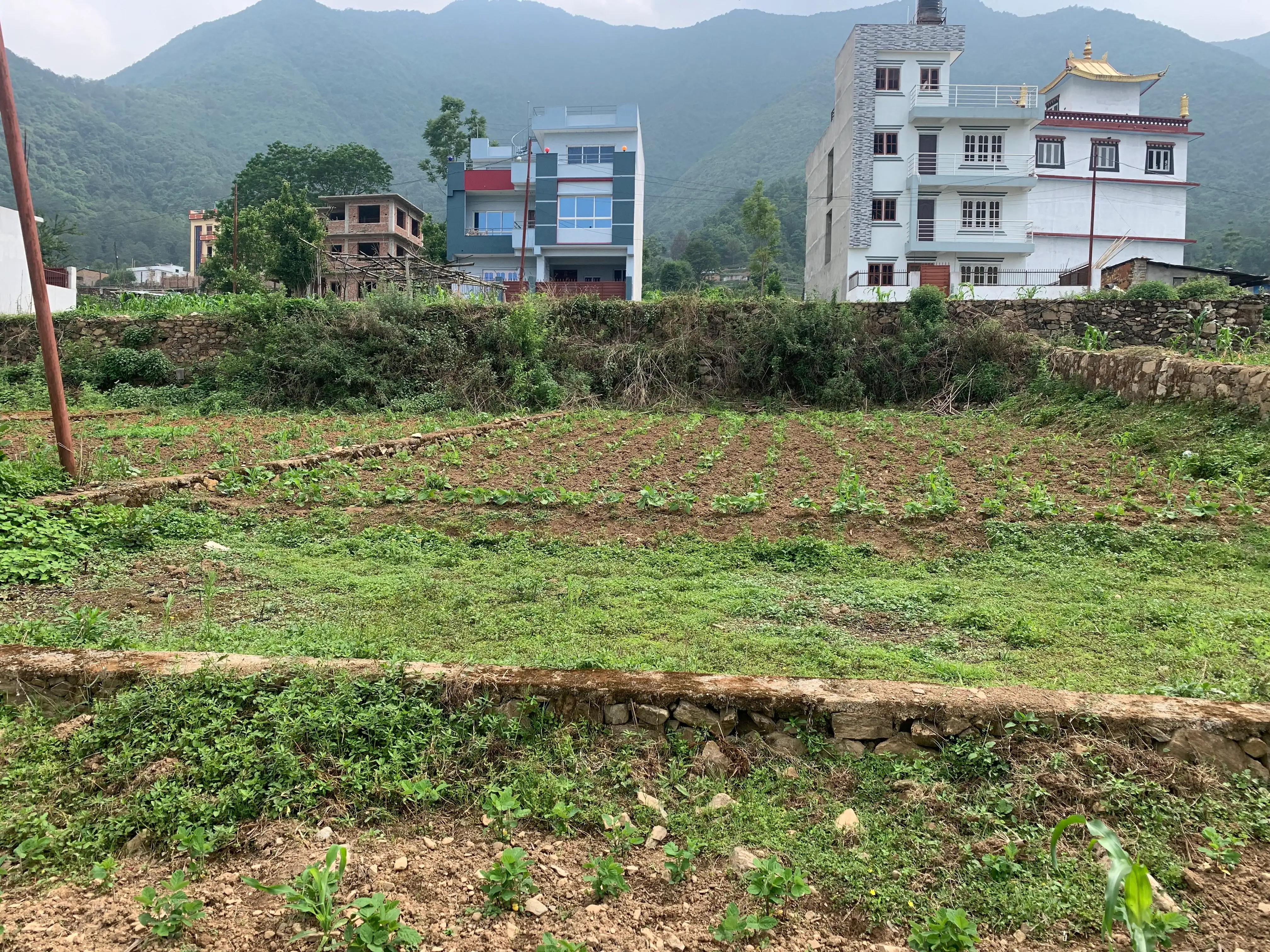 7 Aana Residential Land on sale at Matatirtha Thumbnail