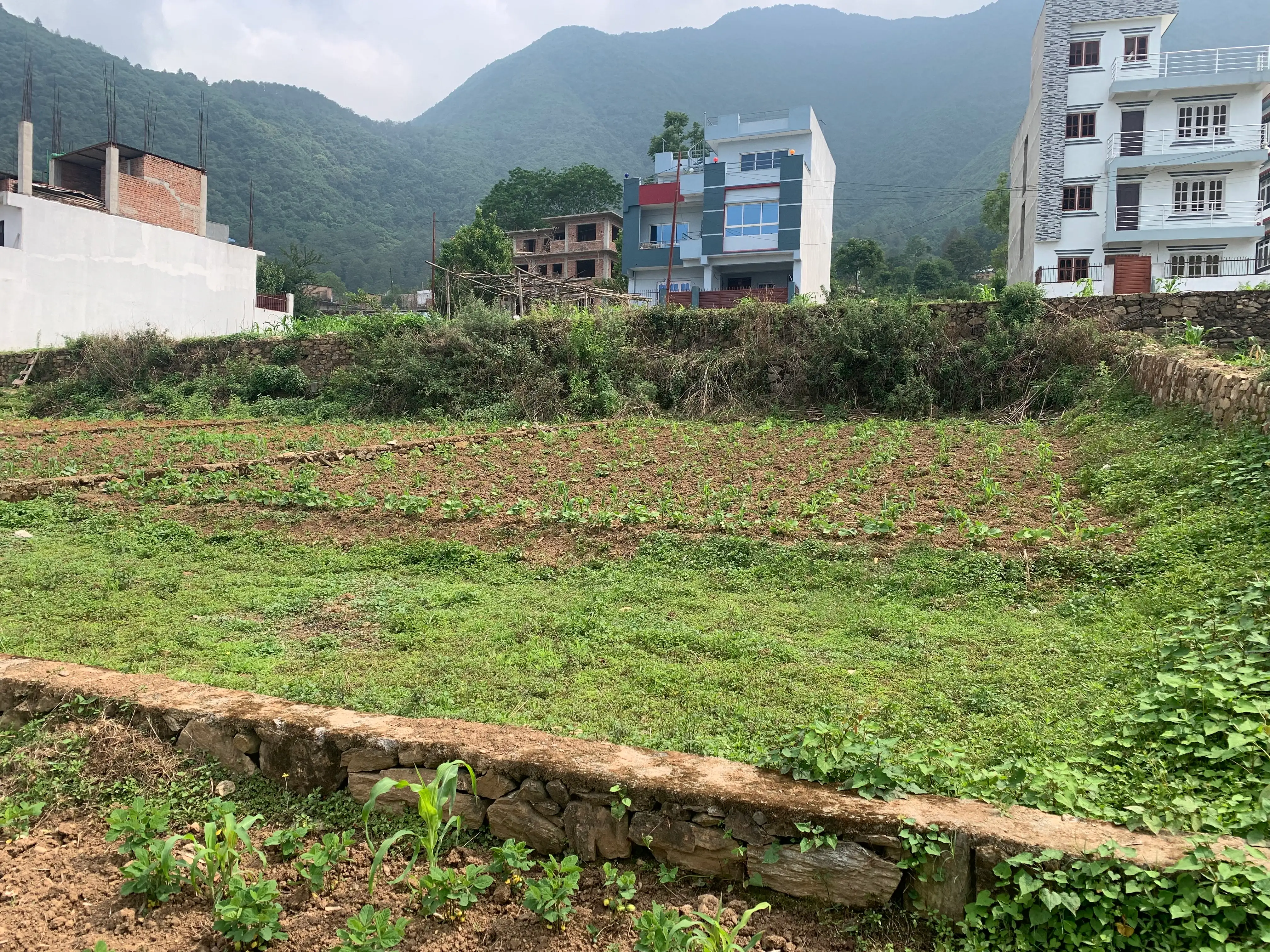 7 Aana Residential Land on sale at Matatirtha Image 1