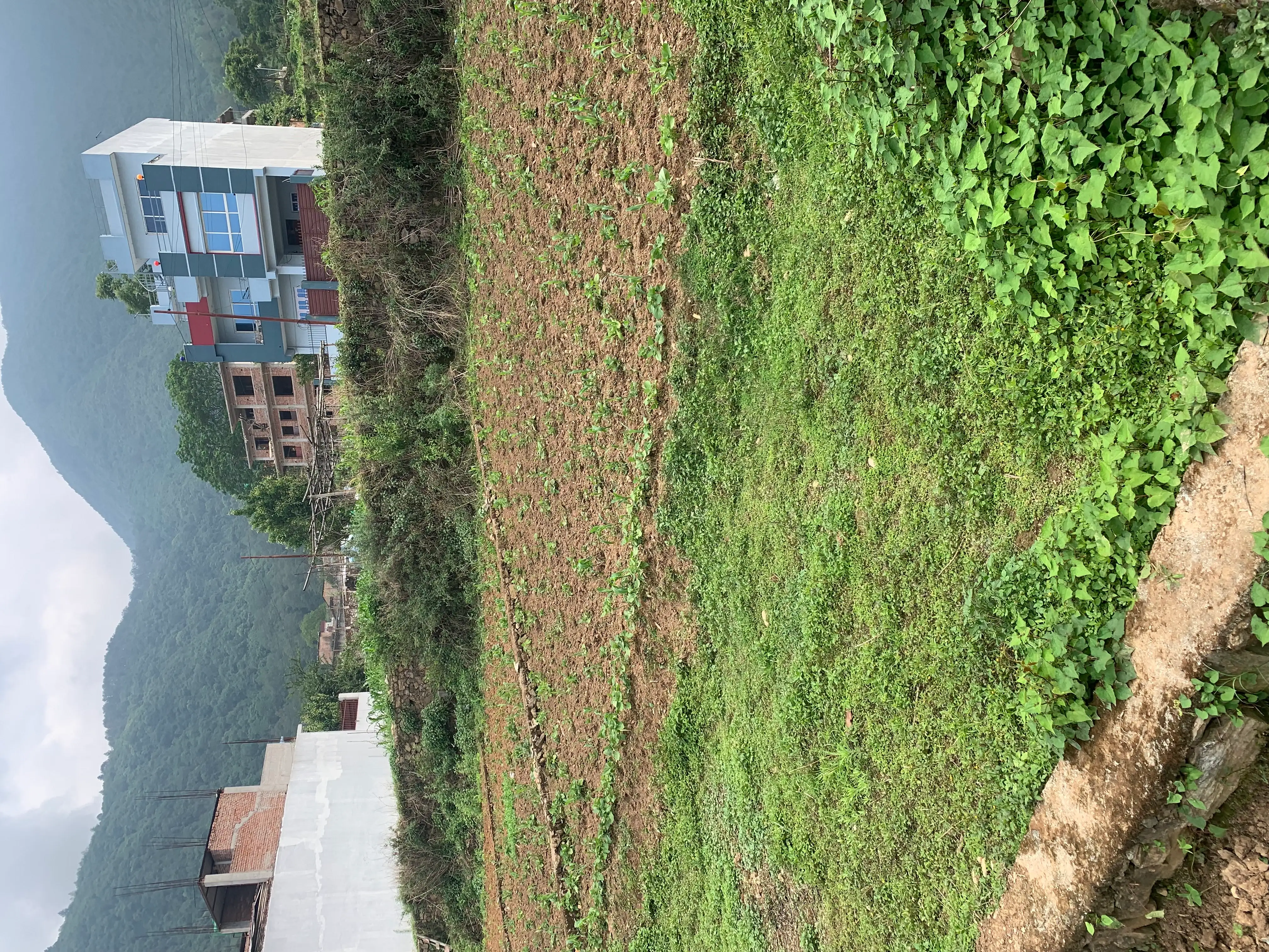 7 Aana Residential Land on sale at Matatirtha Image 2