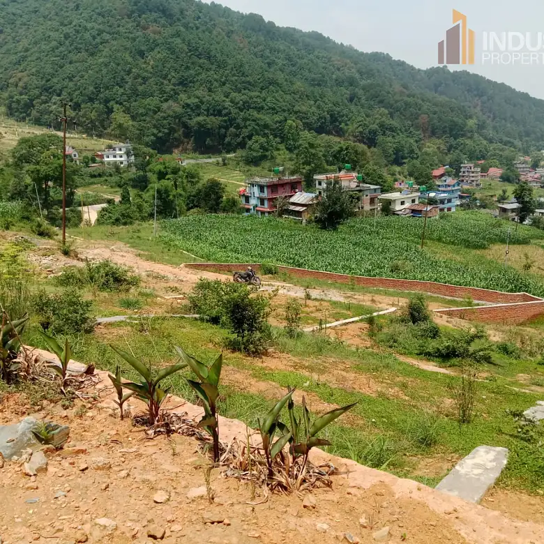 land on sale Image 3