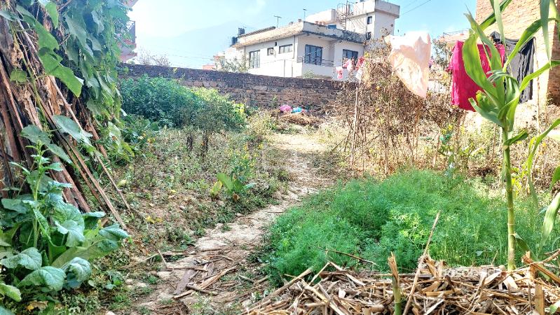 Land Sale in Kalanki, Dhungeadda : Land for Sale in Kalanki, Kathmandu Image 2