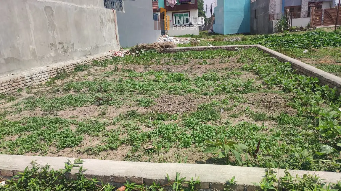 Land on sale at Tikathali Image 2