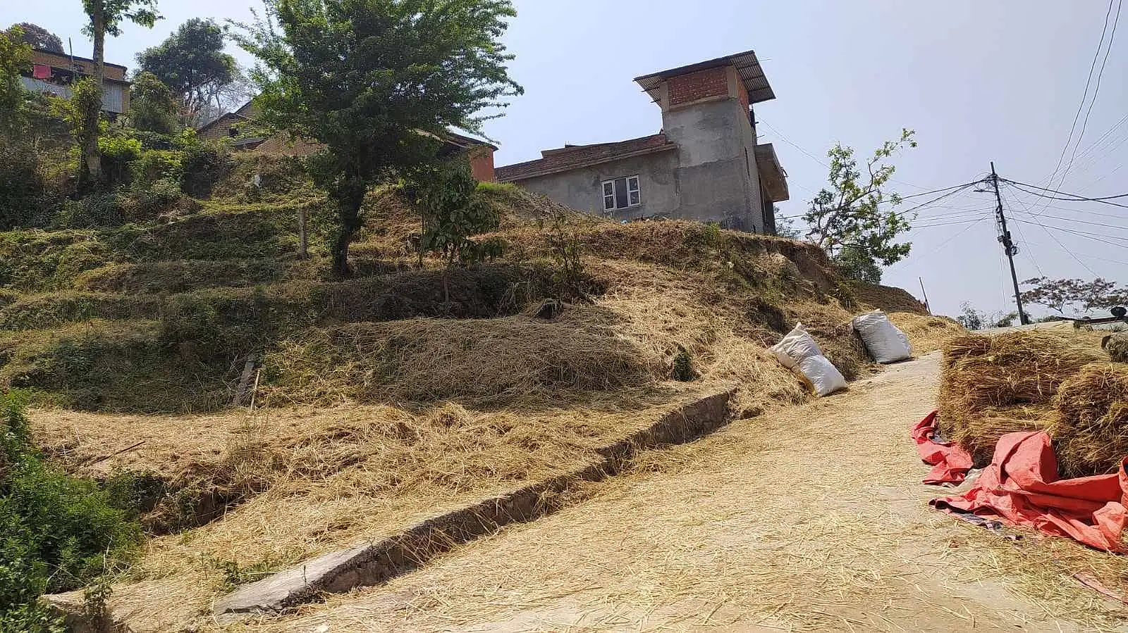 Land on rent at Tokha Image 2
