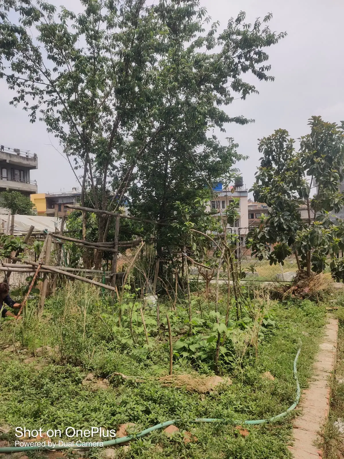 Land for sale in Kirtipur Area Image 3