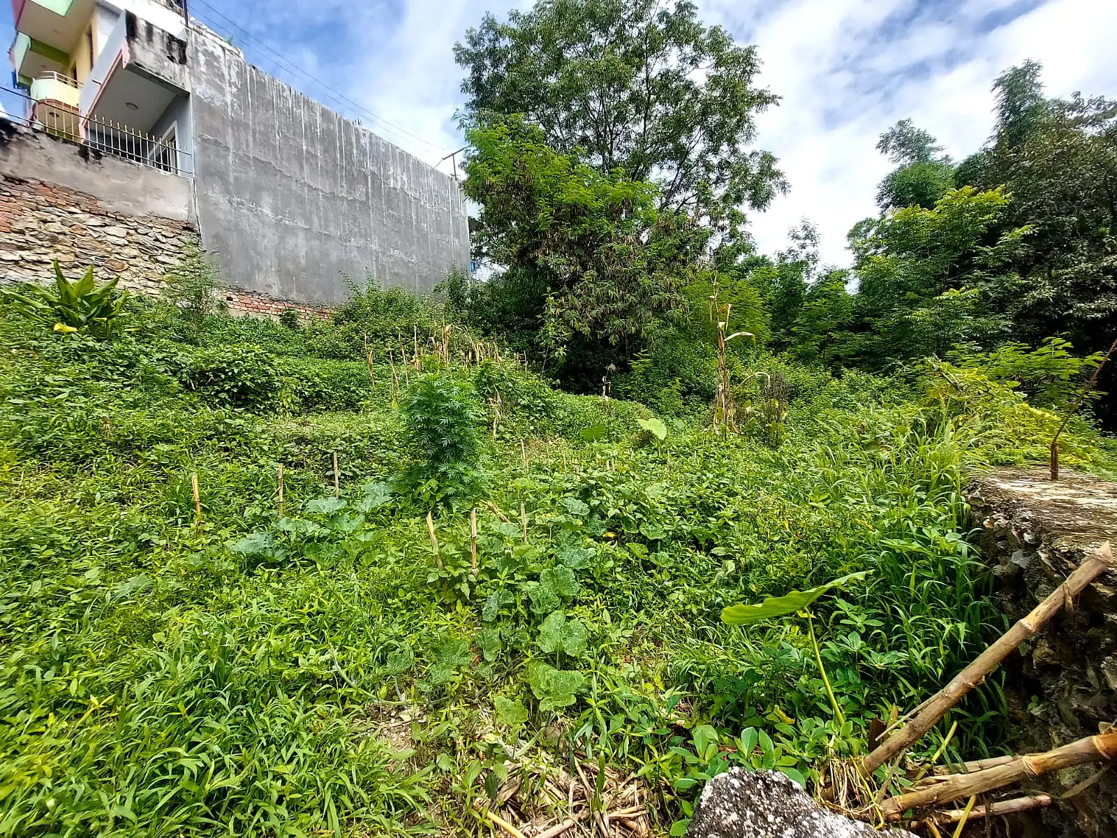 Residential Land  Image 1