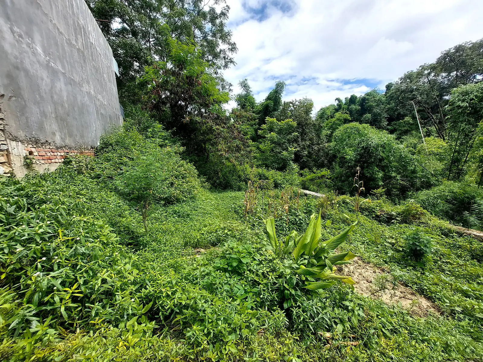 Residential Land  Image 3