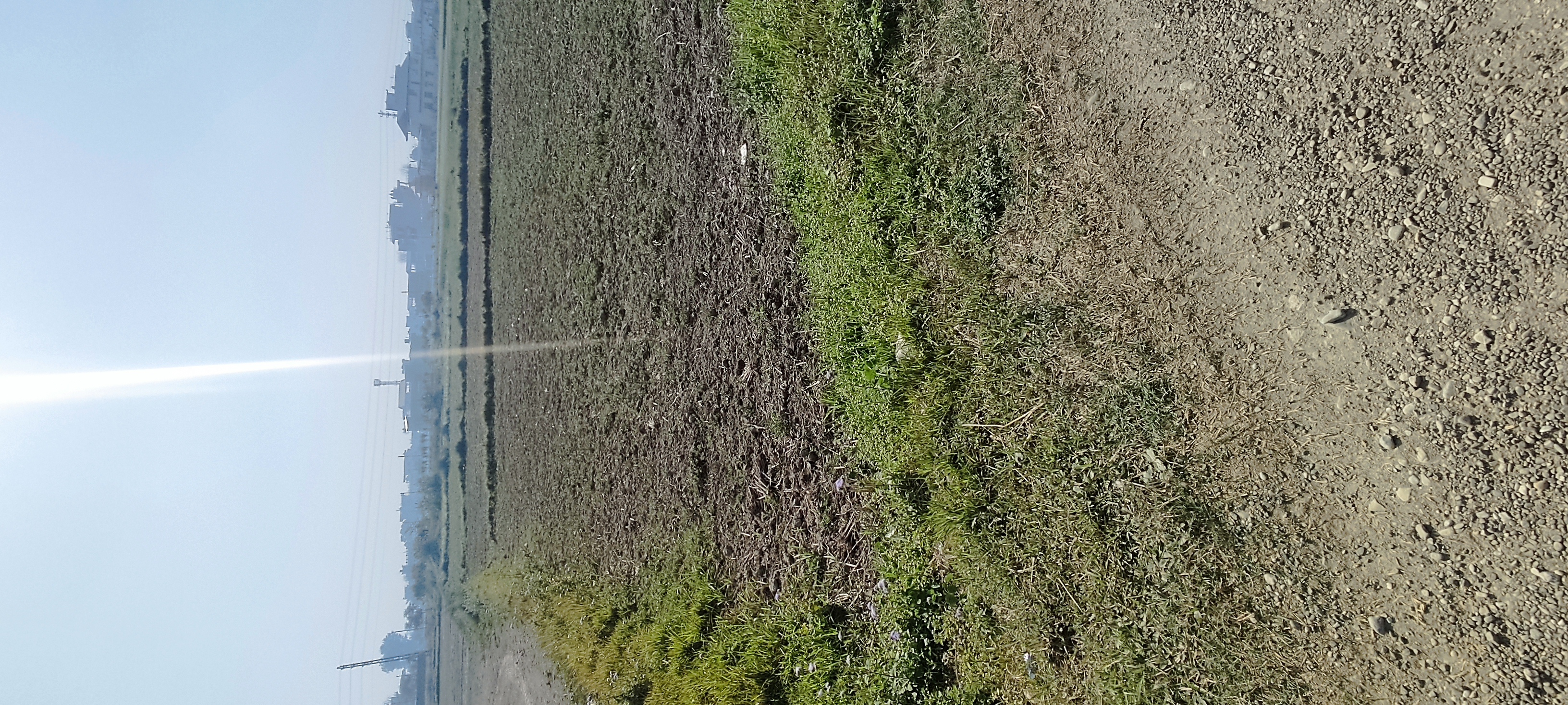 Approx 120 ft mohada Image 8