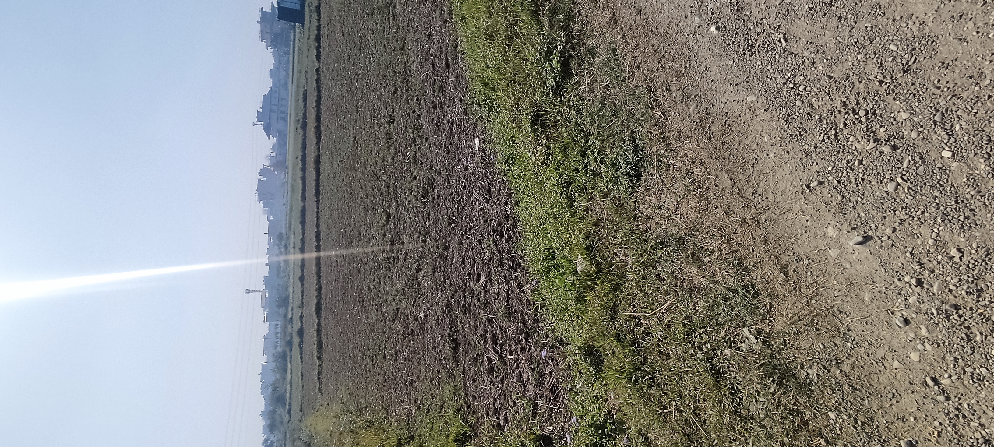 Approx 120 ft mohada Image 7