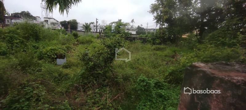 Land for Sale at Panchali Biratnagar : Land for Sale in Pichara, Biratnagar Image 4