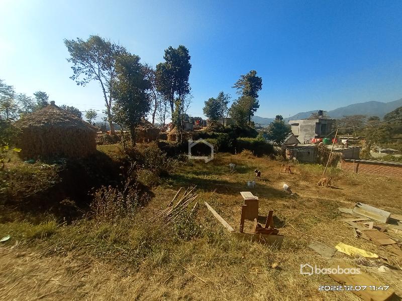 गोदावरी, ठेचो, झ्यालपाटी मा आकर्सक जग्गा बिकृमा : Land for Sale in Thecho, Lalitpur Image 3