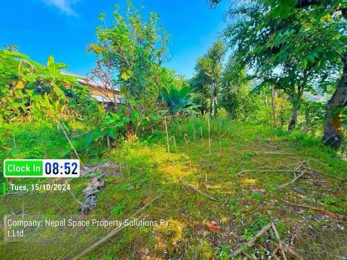 14 Ropani Land for Sale in Siddhalek Municipality, Nalang, Dhading! Image 1