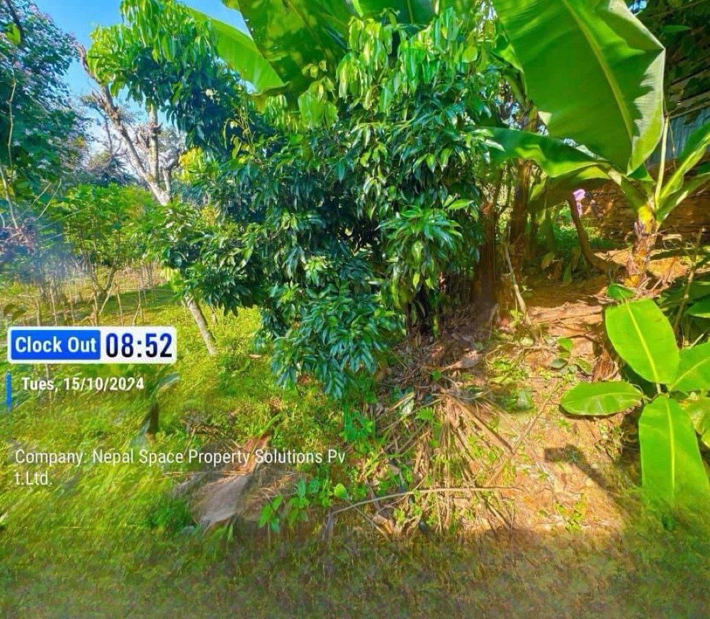 14 Ropani Land for Sale in Siddhalek Municipality, Nalang, Dhading! Image 2