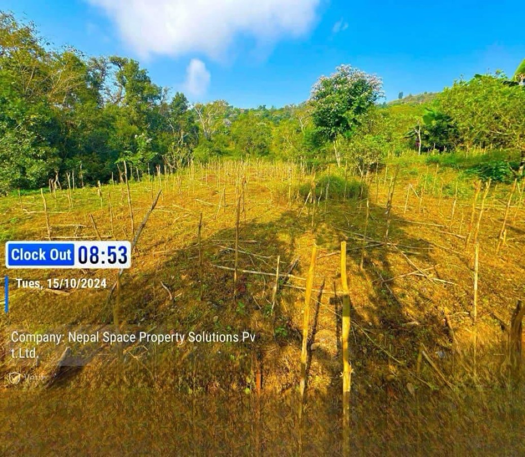 14 Ropani Land for Sale in Siddhalek Municipality, Nalang, Dhading! Image 3