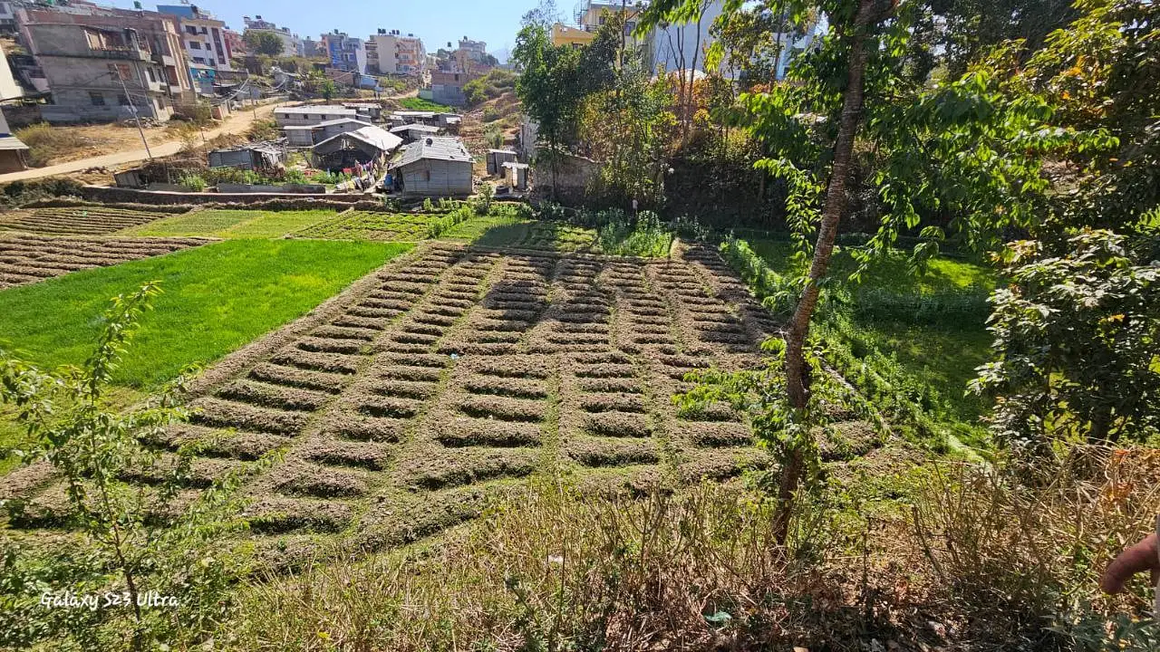 Land for Sale at Thecho, Dhapakhel, Lalitpur Image 3