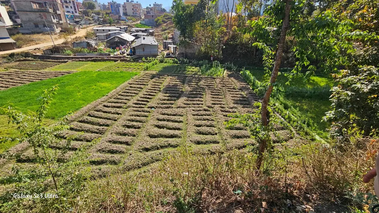 Land for Sale at Thecho, Dhapakhel, Lalitpur Image 4