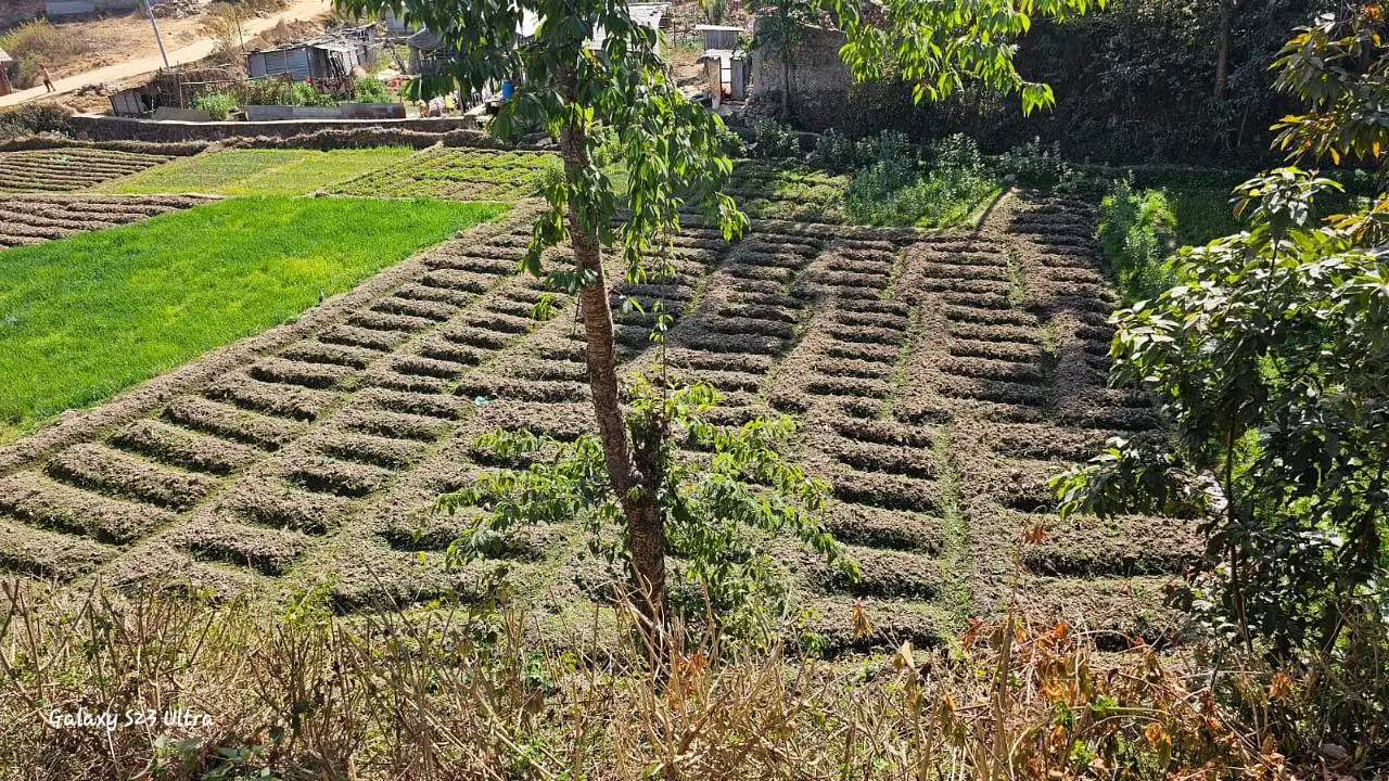 Land for Sale at Thecho, Dhapakhel, Lalitpur Image 2
