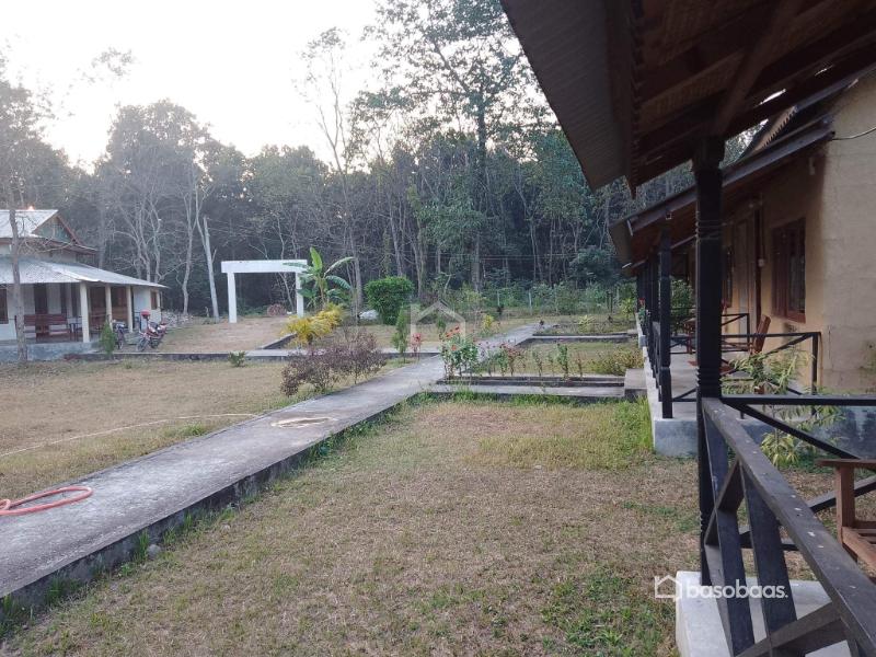 Commuinty based resort for sale in Chitwan : Business for Sale in Ratnanagar, Chitwan Image 8
