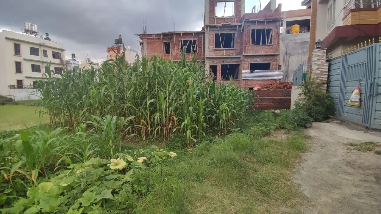 Land on sale at Ochu height, Imadol Image 4