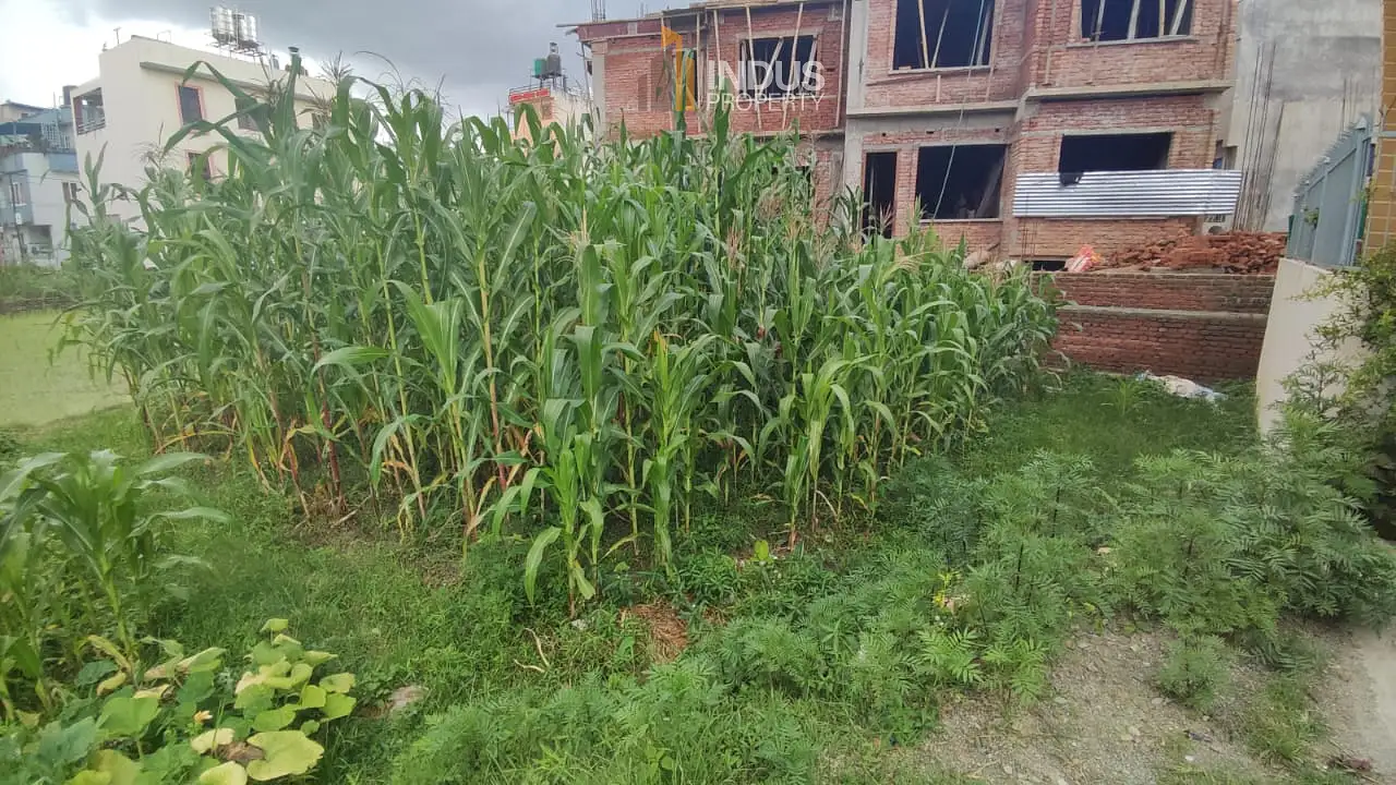 Land on sale at Ochu height, Imadol Image 3