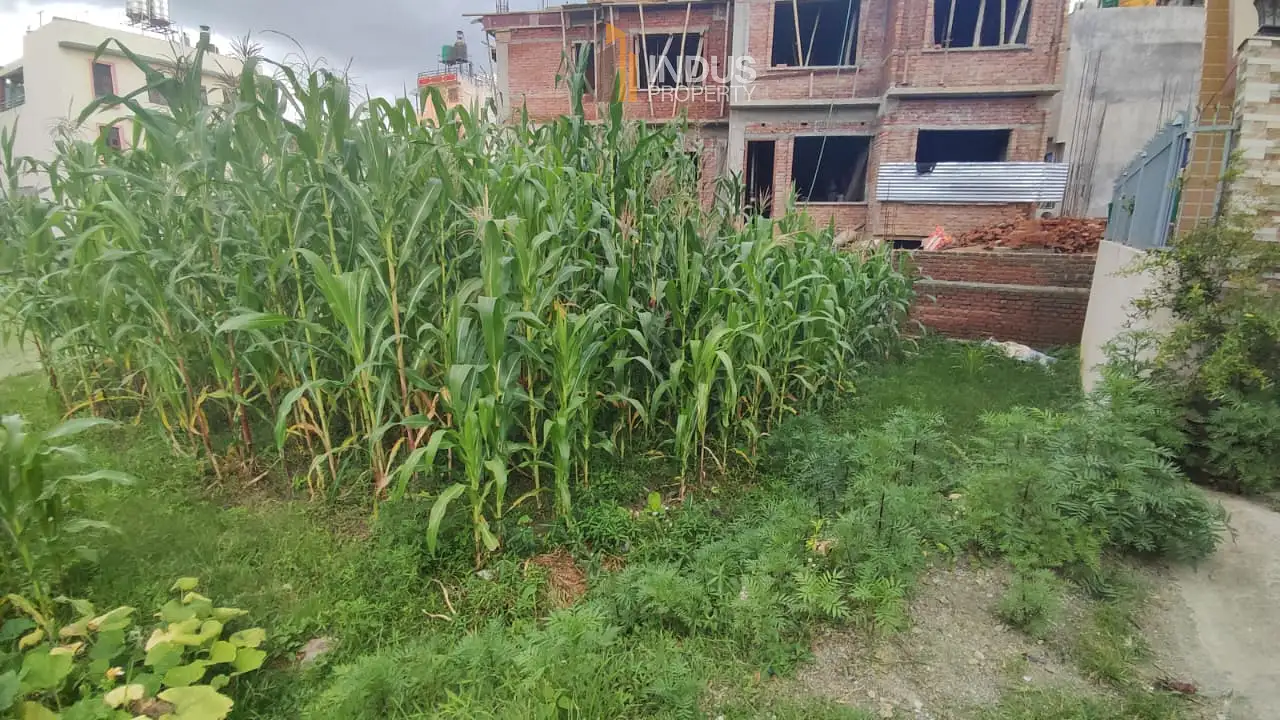 Land on sale at Ochu height, Imadol Image 1