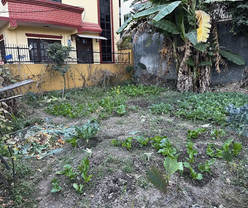 Land on Sale Image 2
