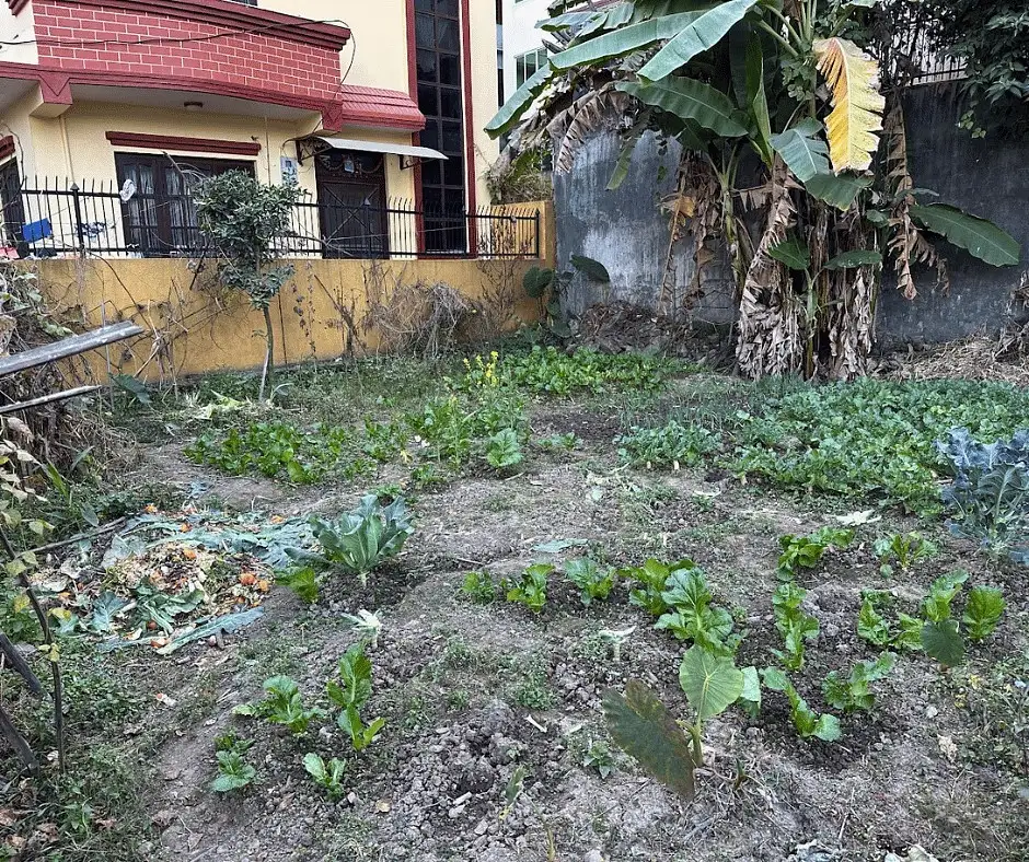 Land on Sale Image 1