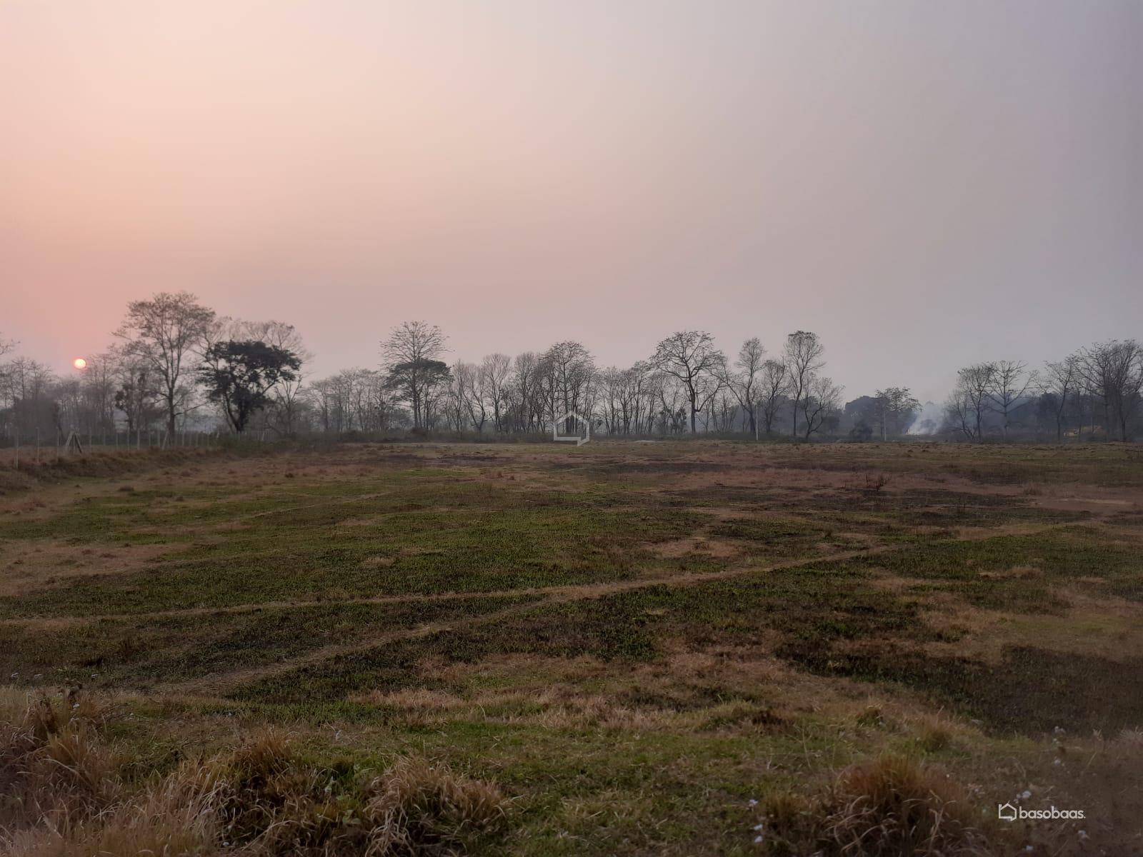 Commercial or Agriculture Land : Land for Sale in Bharatpur, Chitwan Image 4