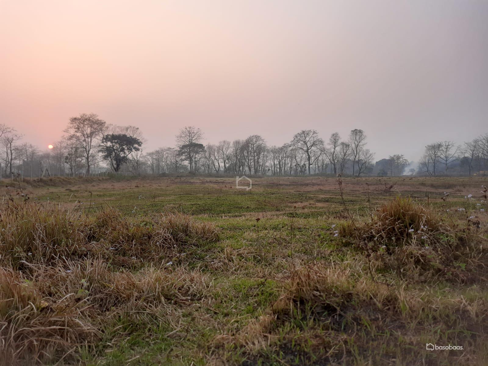 Commercial or Agriculture Land : Land for Sale in Bharatpur, Chitwan Image 3