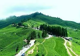 ब्यवसायिक जग्गा बिक्रिमा   Image 3