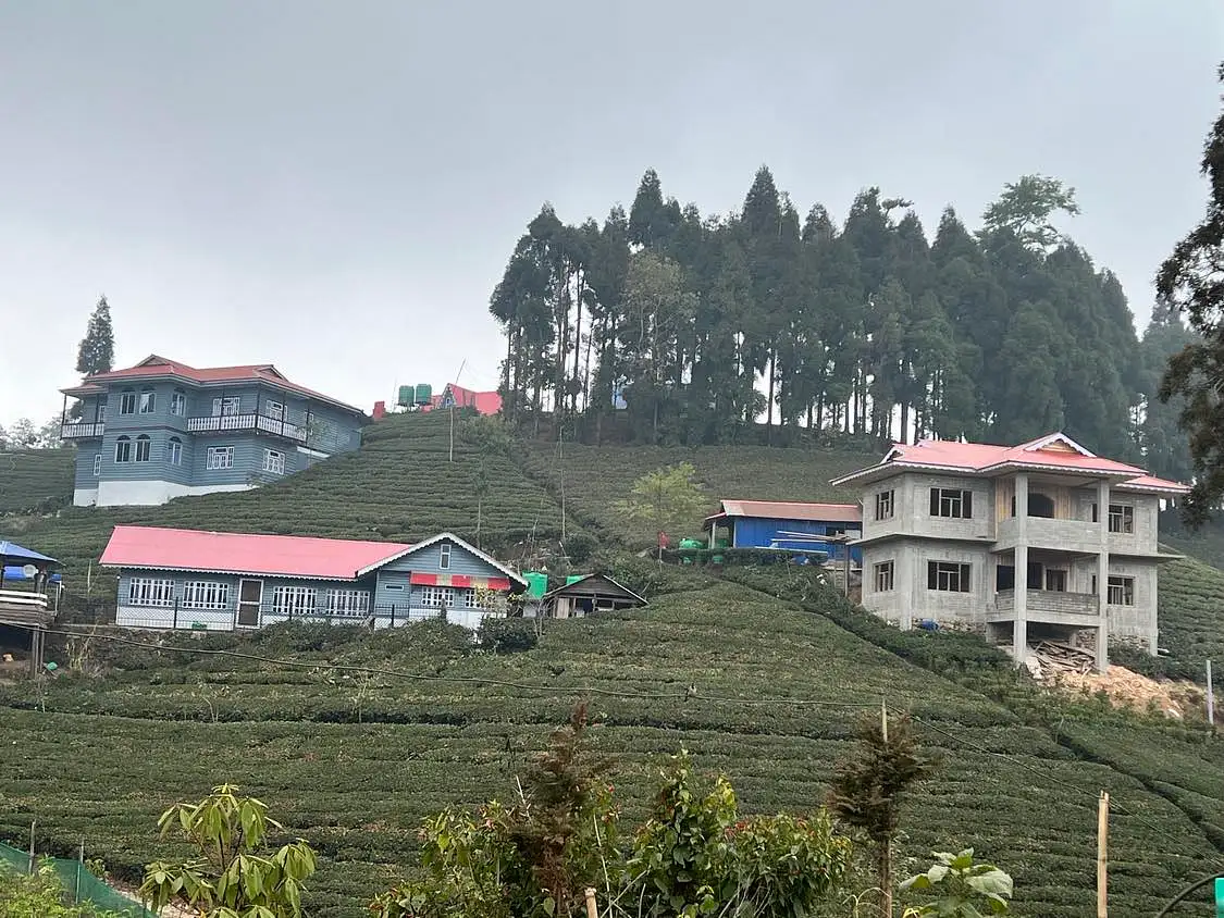 ब्यवसायिक जग्गा बिक्रिमा   Image 9